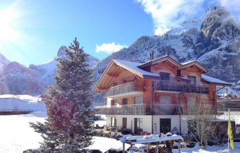 Bild 2