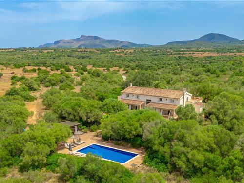 Objekt Nr.: 147-EMI630