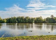 Objekt Nr.: 136-DNS401