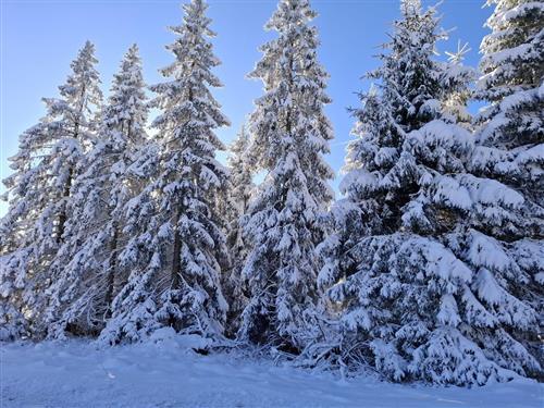 Objekt Nr.: 530-433555