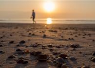 Objekt Nr.: 522-3119797