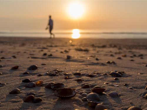 Objekt Nr.: 522-3119797