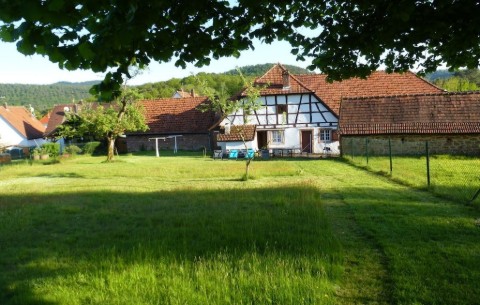 Bild 4