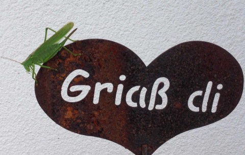 Bild 2