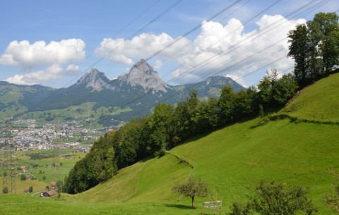 Bild 4