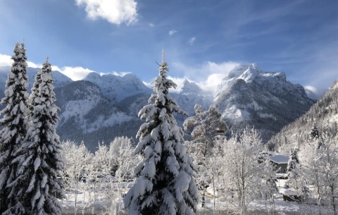 Bild 4