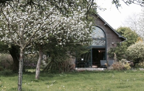 Image 4