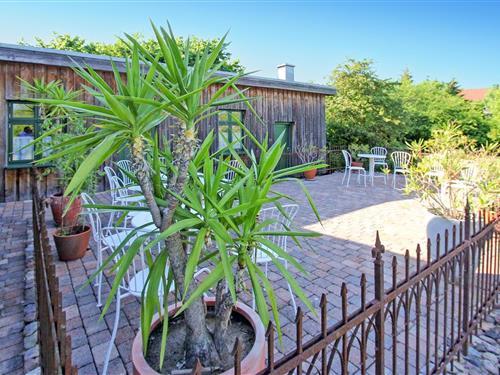 Objekt Nr.: 136-DZV431