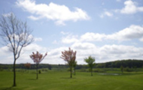 Billede 3