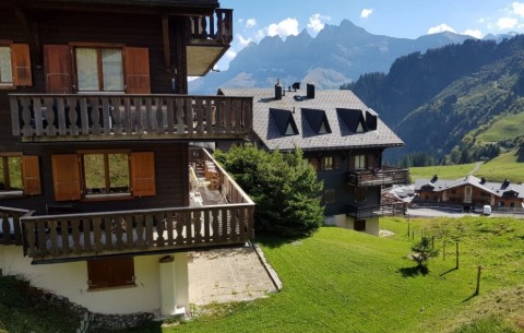 Bild 4