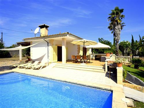 Objekt Nr.: 535-447952