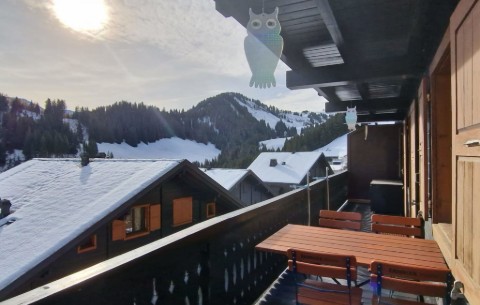 Bild 4