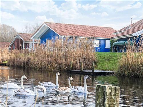 Objekt Nr.: 173-59175