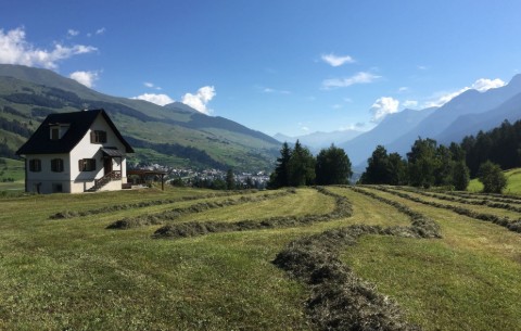 Bild 2