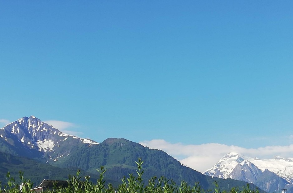 Billede 1