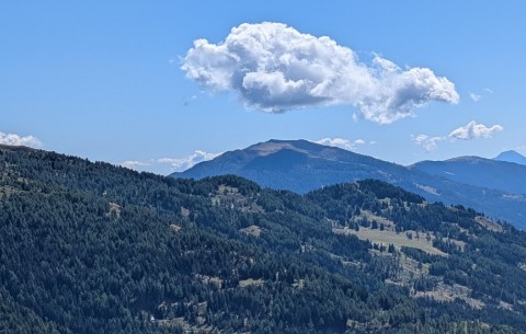 Billede 4