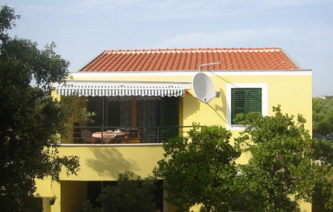 Image 4