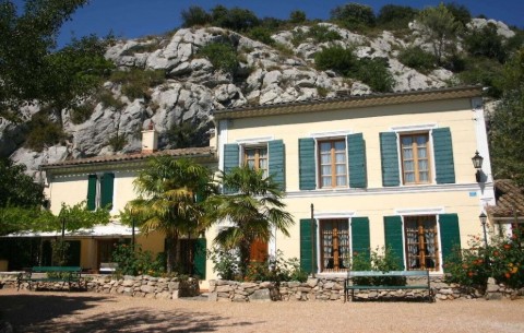 Image 4