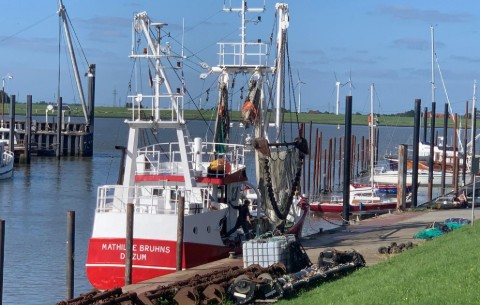 Billede 4