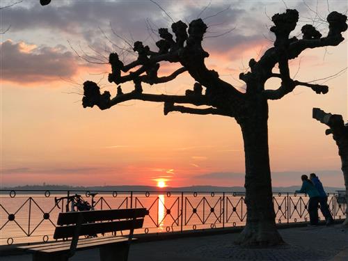 Objekt Nr.: 530-687824