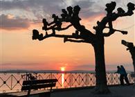 Objekt Nr.: 530-687824