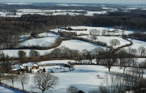 Image 4