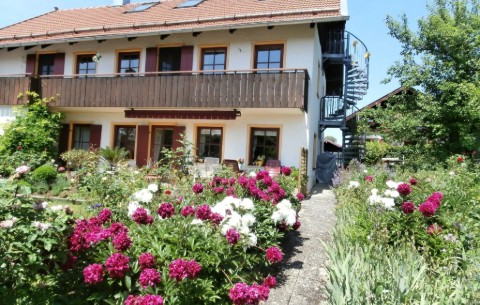 Billede 3