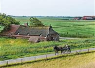 Objekt Nr.: 305-DE2981.651.1