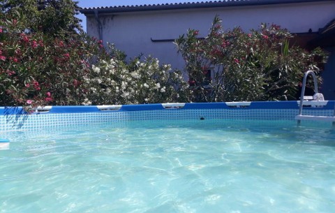 Billede 3