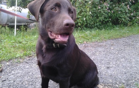 Bild 2