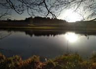 Objekt Nr.: 530-926011