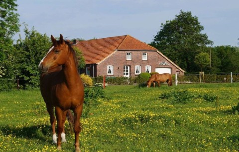 Billede 4