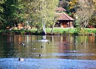 Objekt Nr.: 540-270796-188905