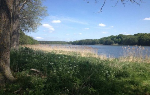 Billede 2