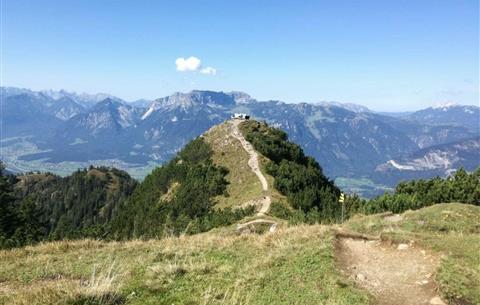 Image 3