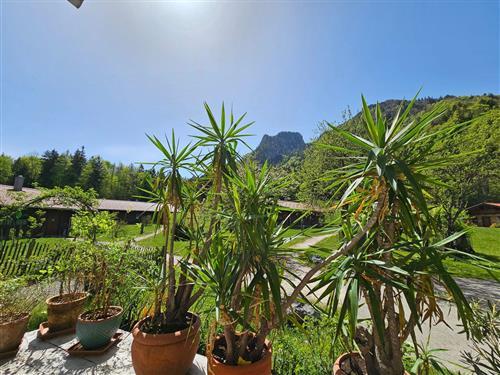 Objekt Nr.: 530-505154