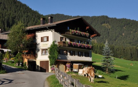 Bild 4
