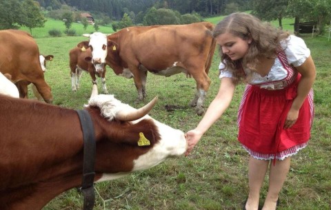 Bild 4