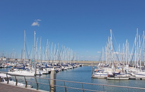 Image 4