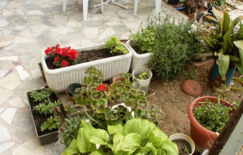 Bild 4