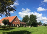 Objekt Nr.: 540-157587-123676