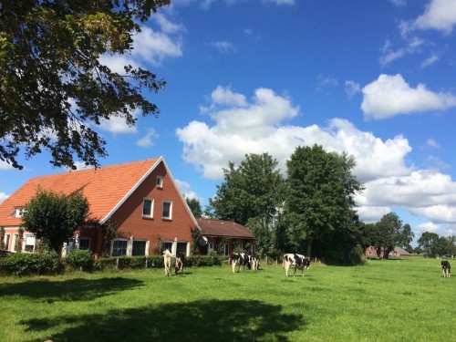Objekt Nr.: 540-157587-123676