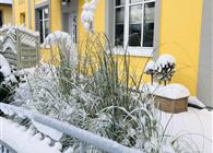 Objekt Nr.: 530-384435