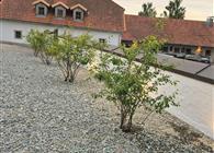 Objekt Nr.: 530-740905