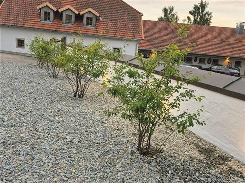 Objekt Nr.: 530-740905