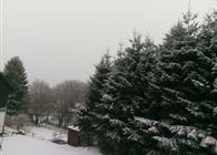 Objekt Nr.: 530-844099