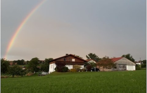 Billede 4