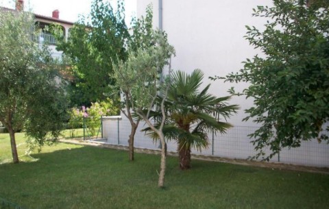 Billede 4