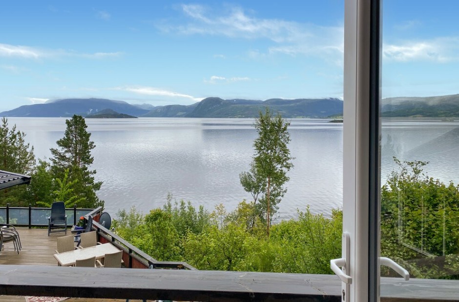 Billede 1