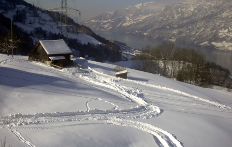 Bild 2
